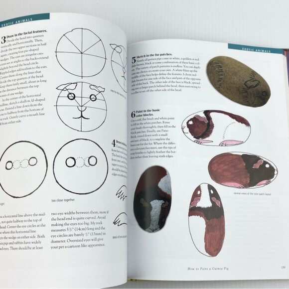 Painting Animals on Rocks by Lin Welford Hardcover Craft Book 2003 - Picture 11 of 12